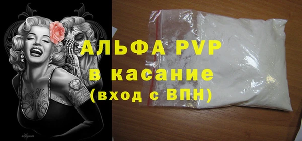 прущий лед Новозыбков