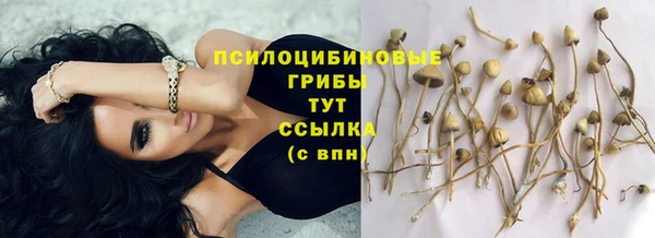 прущий лед Новозыбков