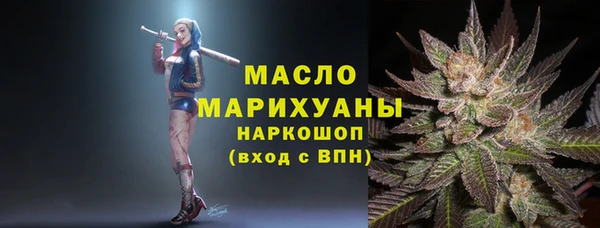 индика Новокубанск