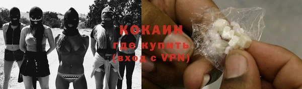 PSILOCYBIN Новодвинск