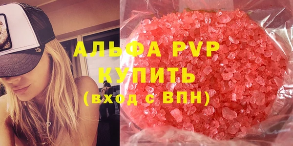 индика Новокубанск