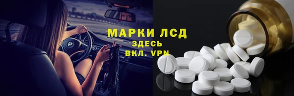 прущий лед Новозыбков