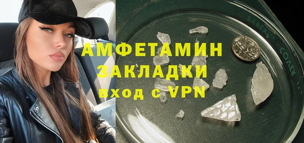 индика Новокубанск