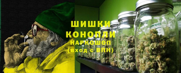 индика Новокубанск