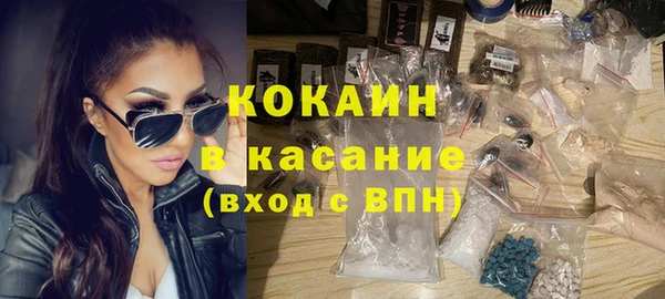 PSILOCYBIN Новодвинск