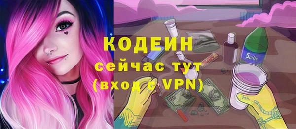 прущий лед Новозыбков