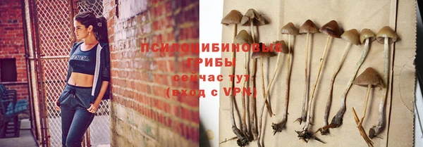 индика Новокубанск