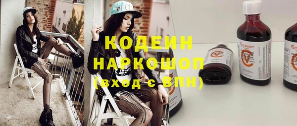индика Новокубанск