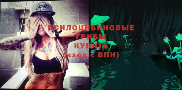 PSILOCYBIN Новодвинск