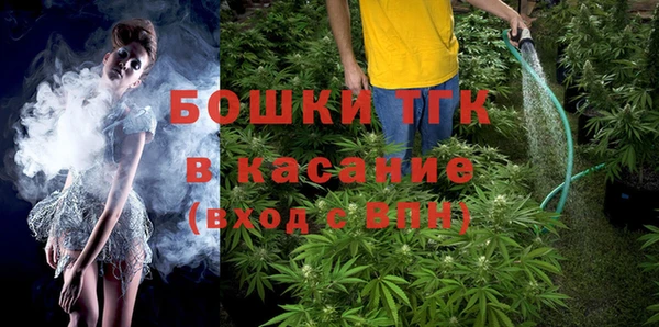 PSILOCYBIN Новодвинск