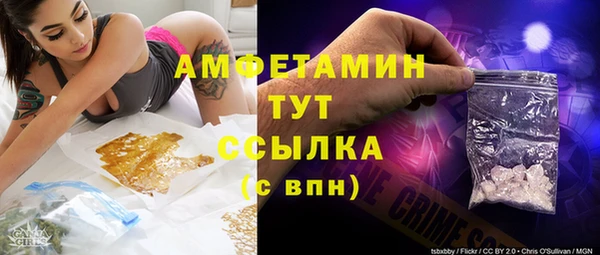 прущий лед Новозыбков