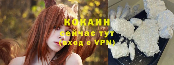 индика Новокубанск