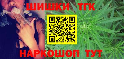 прущие грибы Гатчина