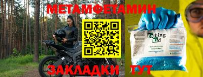 прущие грибы Гатчина