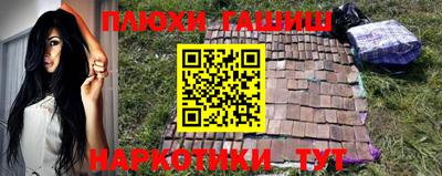 прущие грибы Гатчина