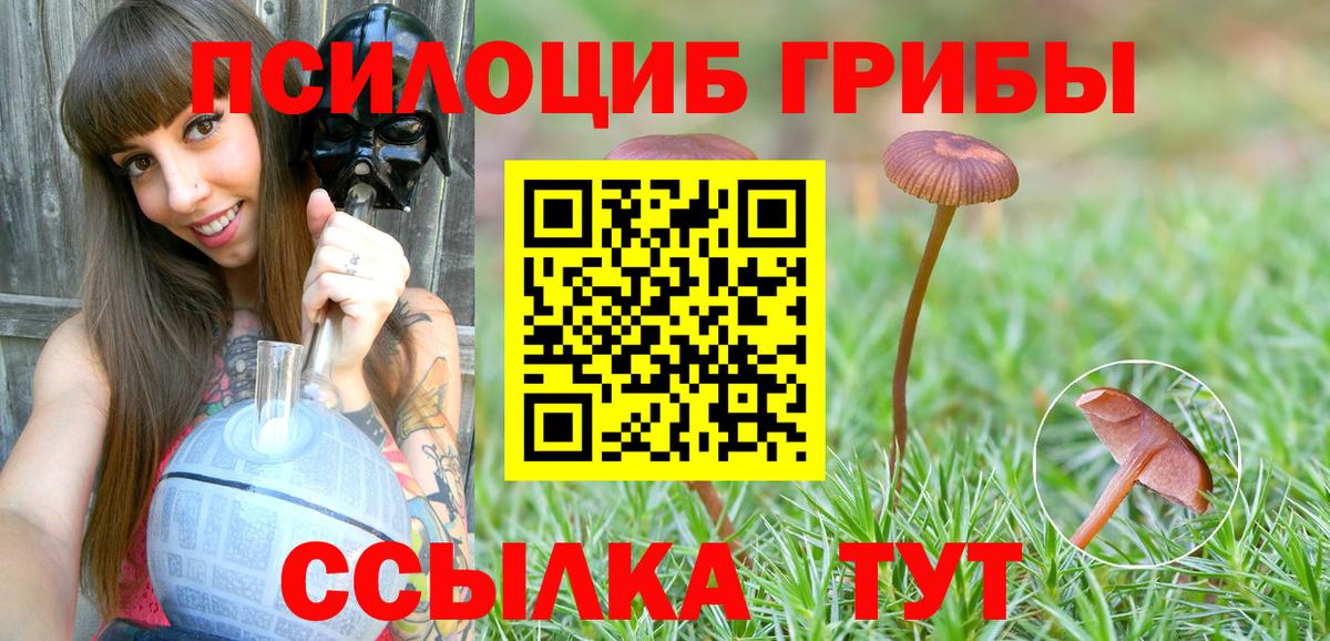 Галлюциногенные грибы мухоморы  Тюмень  Галлюциногенные грибы Magic Shrooms 