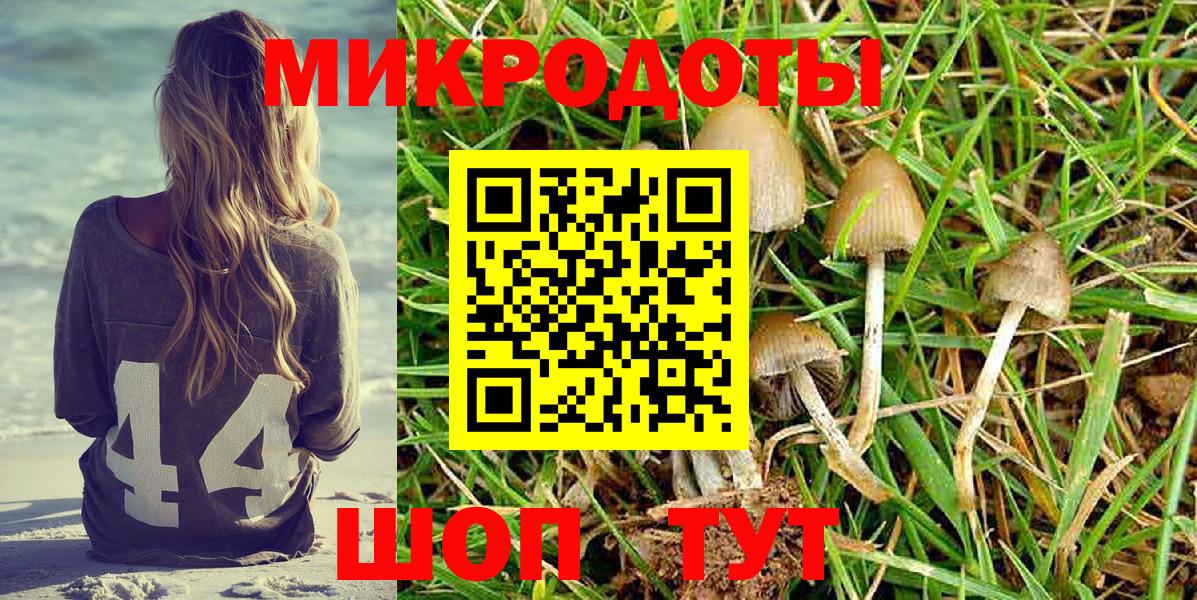 Псилоцибиновые грибы ЛСД Тюмень