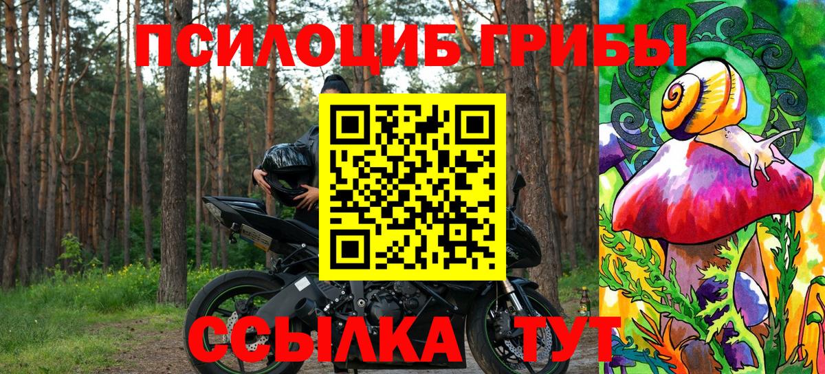 Тюмень  Псилоцибиновые грибы ЛСД  Вход с VPN 